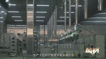 素之美味，海纳百川 生物科技如何重塑未来饮食品质