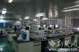 全国网媒采访团光谷生物城感受生命科技奥妙